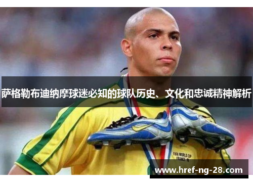 萨格勒布迪纳摩球迷必知的球队历史、文化和忠诚精神解析