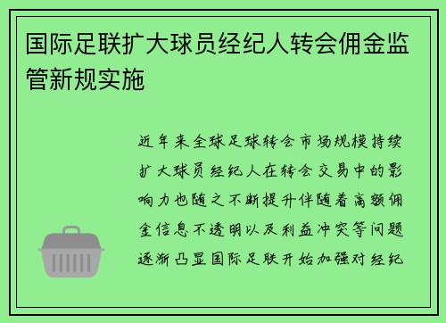 国际足联扩大球员经纪人转会佣金监管新规实施 国际足联扩大球员经纪人转会佣金监管新规实施
